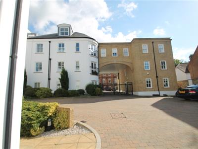 Picture 14